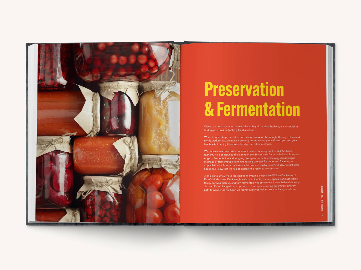 Mastering Fermentation: 100+ Homemade Recipes