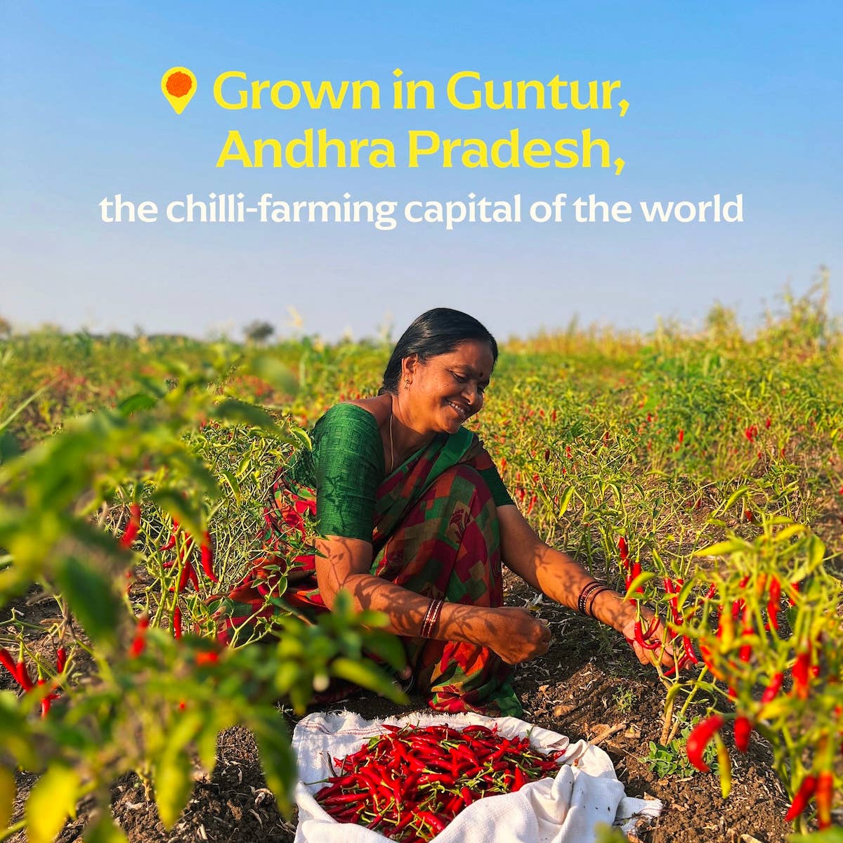 Guntur Sannam Chili Powder (Medium Heat) - Single-Origin