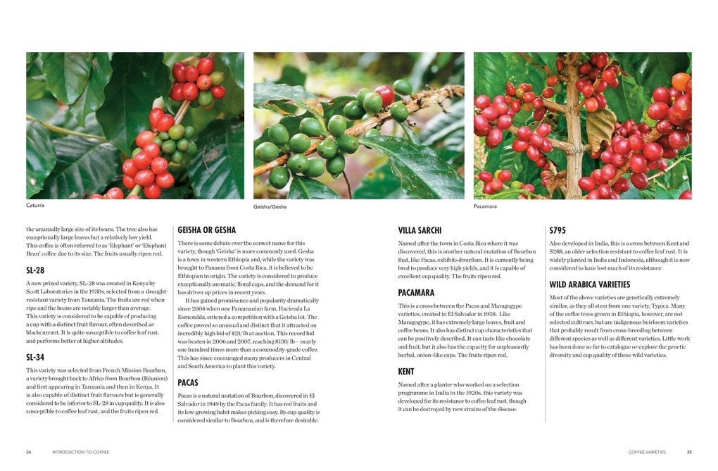 The World Atlas of Coffee 3rd Edition