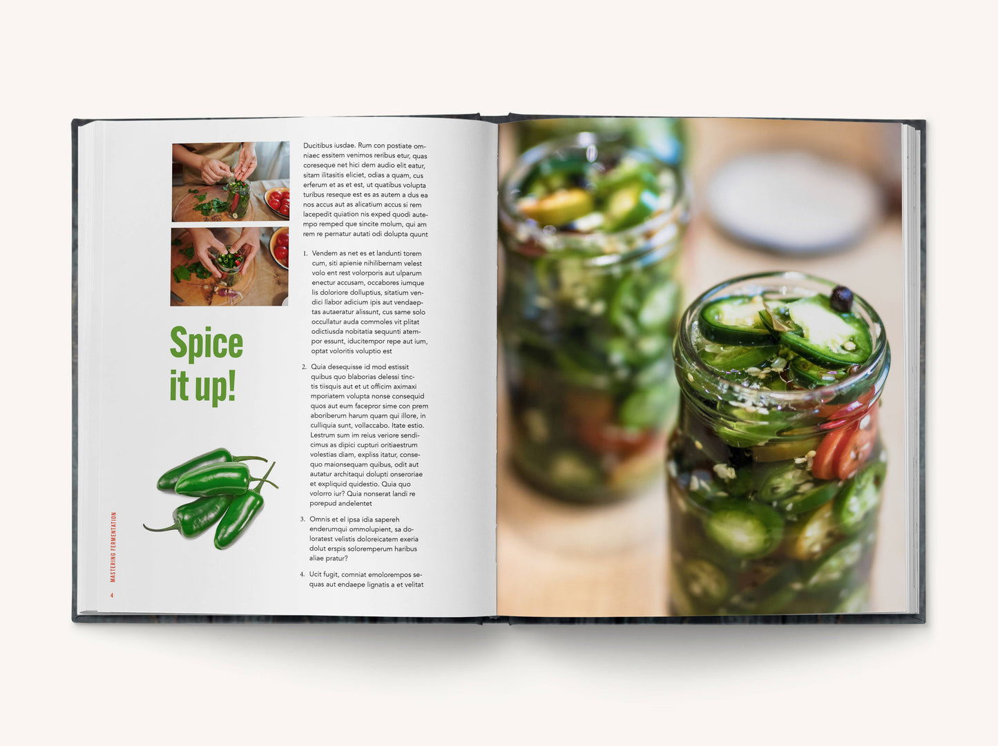Mastering Fermentation: 100+ Homemade Recipes