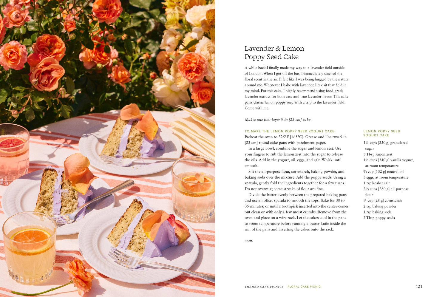 Cake Picnic