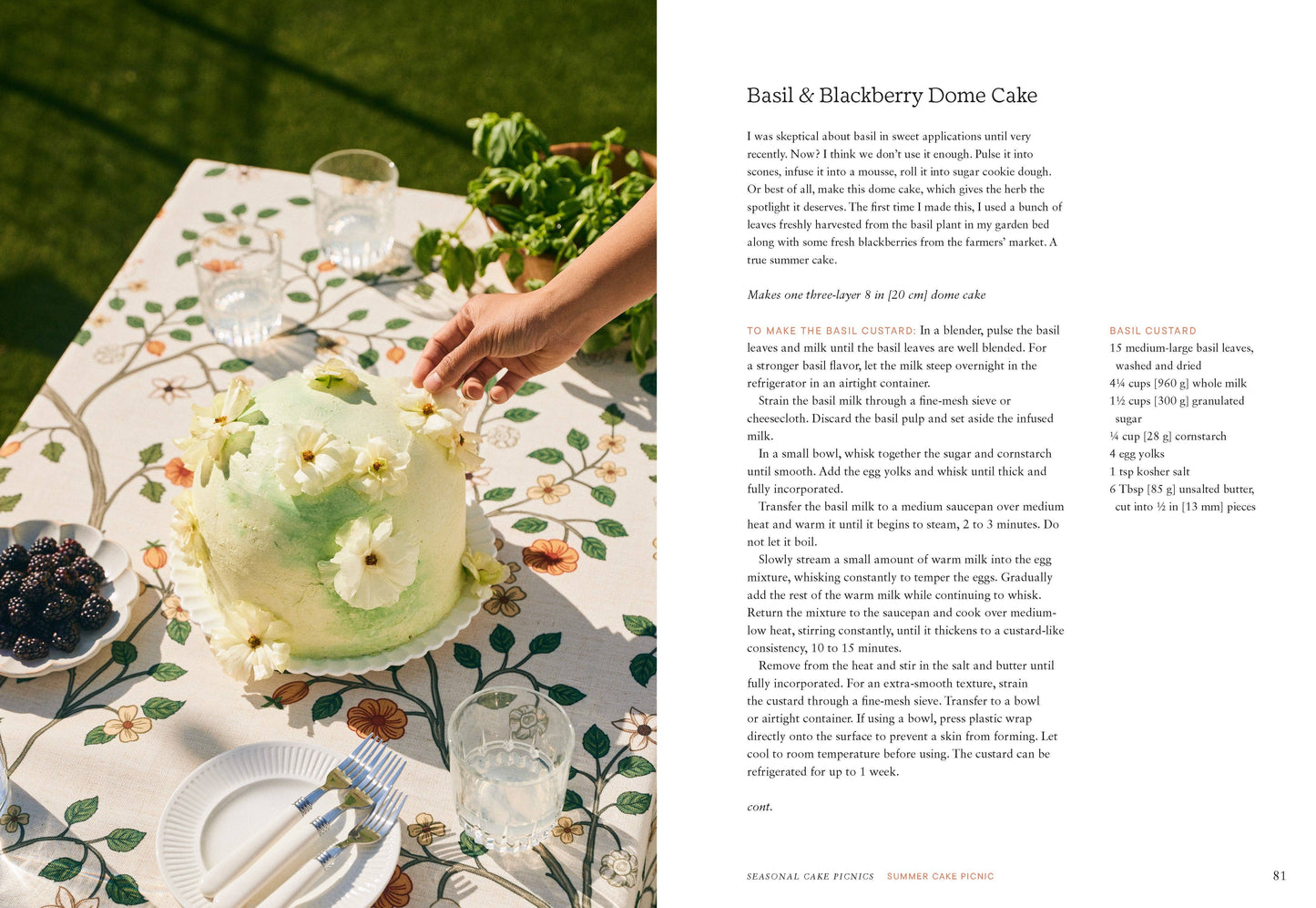 Cake Picnic