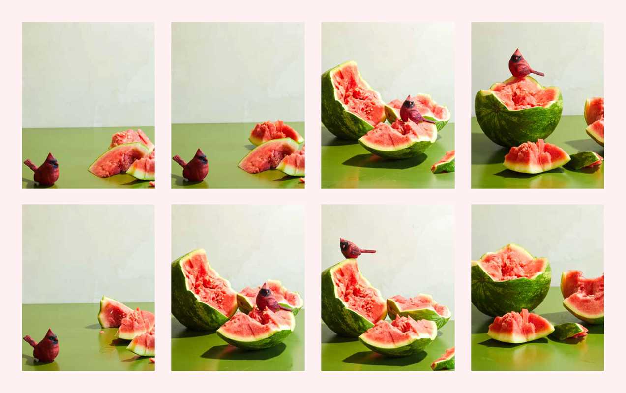 Watermelon and Red Birds by Nicole A. Taylor: Hardcover; 288 pages / English